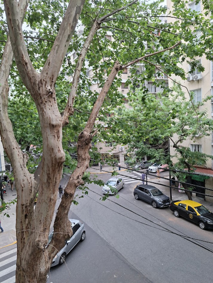 ALTO PALERMO/ AMPLIO DOS AMBIENTES PARA ACTUALIZAR